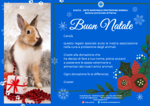 Natale Con ENPA (coniglio - 25€)