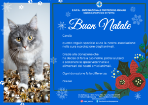 Natale Con ENPA (gatto - 5€)